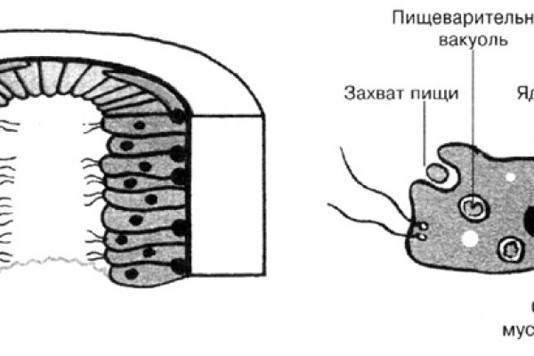 Вход кракен код