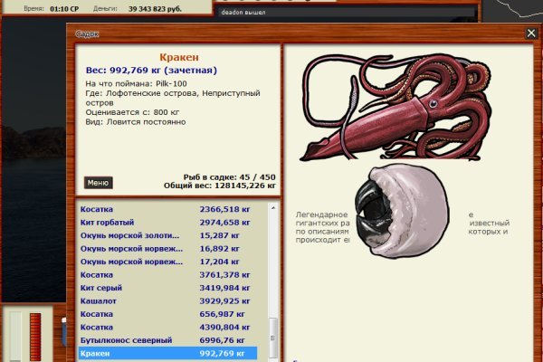 Kraken tor onion