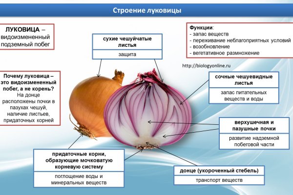 Kraken ссылка сайт kraken clear com